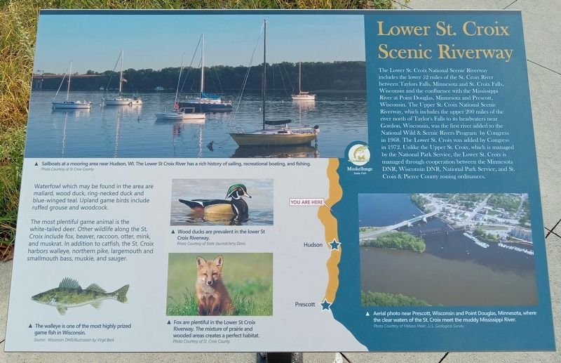 Lower St. Croix Scenic Riverway Marker image. Click for full size.