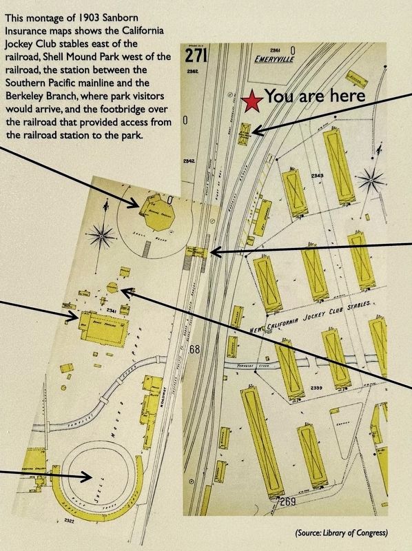 Map detail: Sanborn Insurance map montage image. Click for full size.