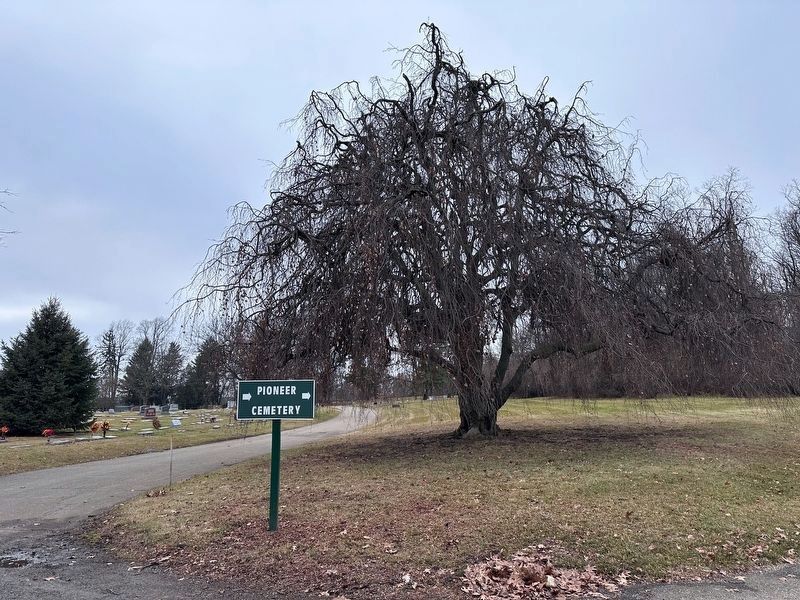 Pioneer Cemetery Section. Click for full size. Pioneer Cemetery Section image. Click for full size.