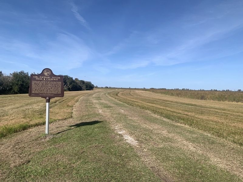 Col. Zachary Taylor Trail & Causeway Marker image. Click for full size.