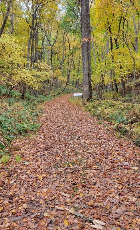 Moving Uphill Marker. Click for full size. Moving Uphill Marker image. Click for full size.