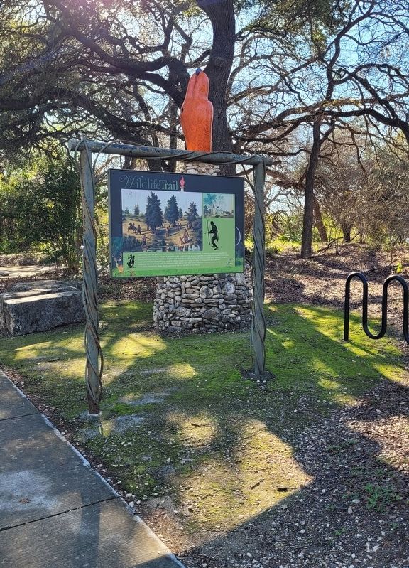 The Wildlife Trail Marker in Brackenridge Park image. Click for full size.