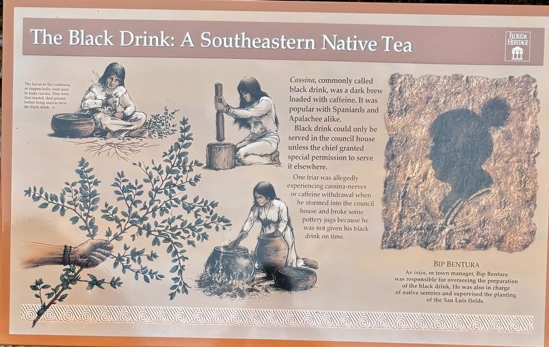 The Black Drink: A Southeastern Native Tea Marker image. Click for full size.