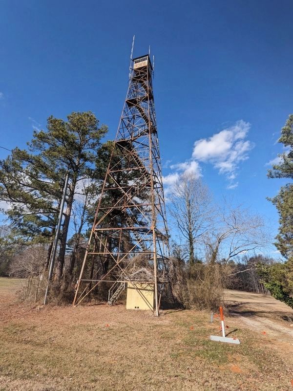 Meadows Fire Tower image. Click for full size.