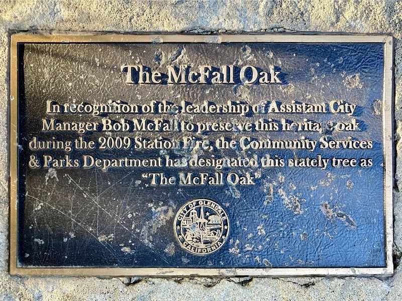 The McFall Oak Marker image. Click for full size.