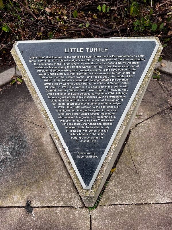 Little Turtle Marker image. Click for full size.