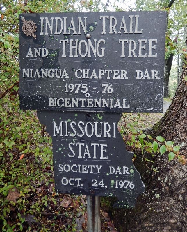 Indian Trail and Thong Tree Marker image. Click for full size.