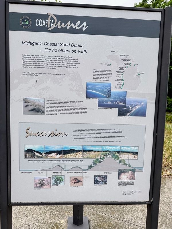 Coastal Dunes Marker image. Click for full size.