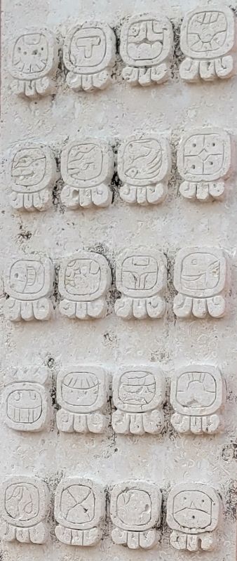 Closeup of the 20 Tzolkin Glyphs. Click for full size. Closeup of the 20 Tzolkin Glyphs image. Click for full size.