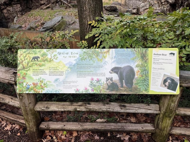 Andean Bear Marker image. Click for full size.