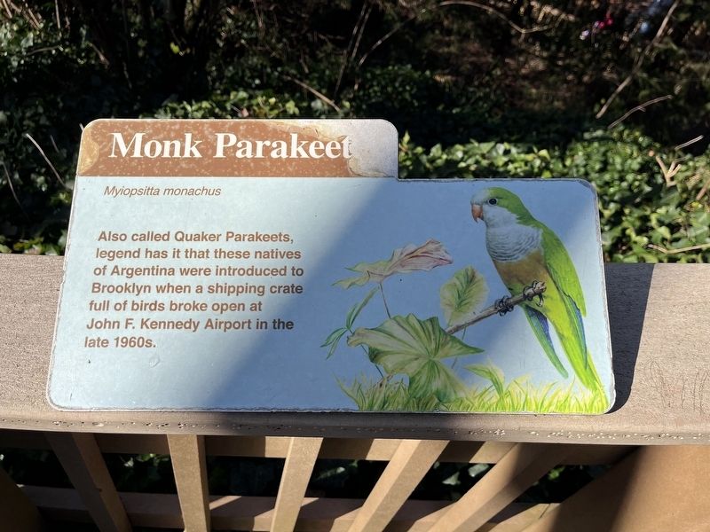 Monk Parakeet Marker image. Click for full size.