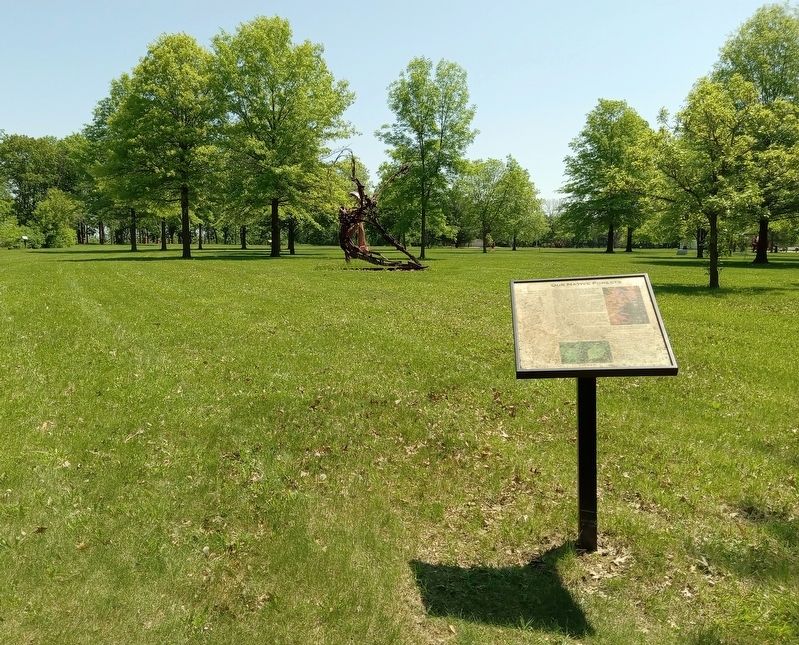 Our Native Forests Marker at the Anderson Center Sculpture Garden image. Click for full size.