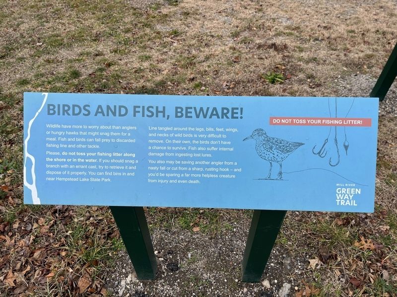 Nearby signage: <i>Birds and Fish, Beware!</i> image. Click for full size.