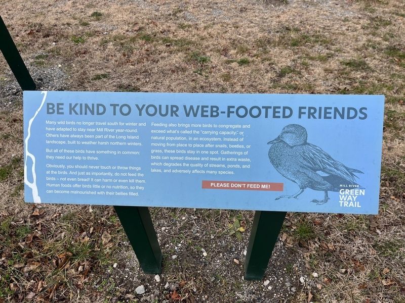Another nearby sign: <i>Be Kind to Your Web-Footed Friends</i> image. Click for full size.