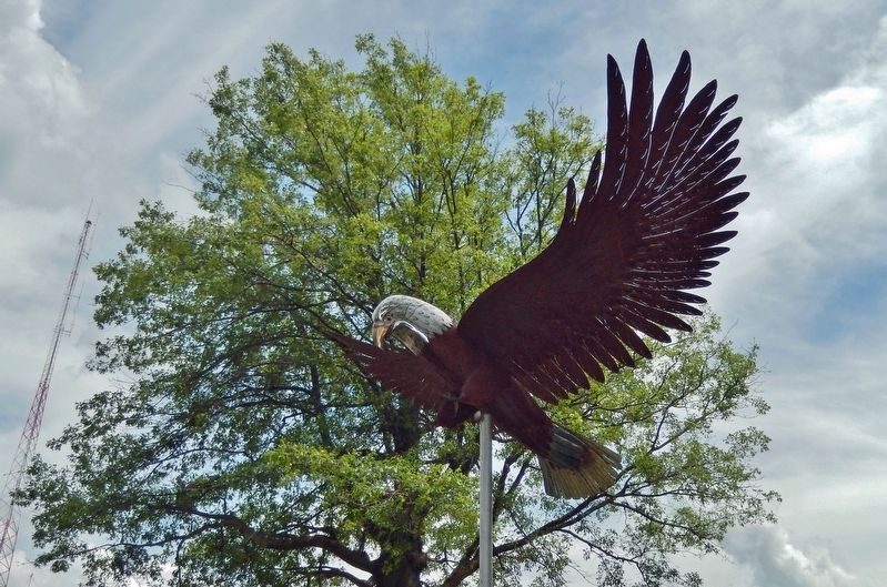 Bald Eagle Sculpture image. Click for full size.