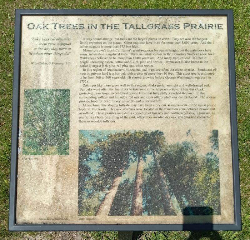 Oak Trees in the Tallgrass Prairie Marker image. Click for full size.