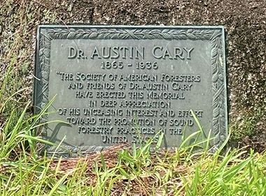 Dr. Austin Cary Marker image. Click for full size.