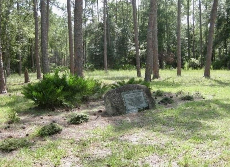 Dr. Austin Cary Marker image. Click for full size.