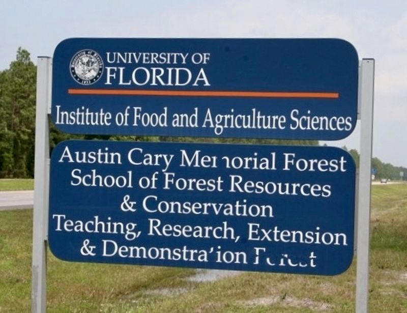 Austin Cary Forest Campus - University of Florida, Institute of Food and Agricultural Sciences image. Click for full size.
