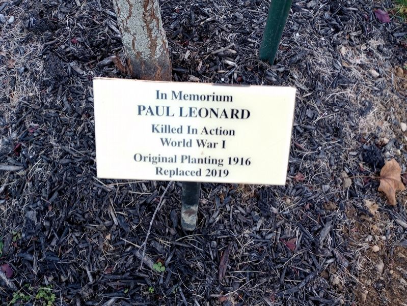 Brown Township Hall Veterans Memorials Marker. Click for full size. Brown Township Hall Veterans Memorials Marker image. Click for full size.
