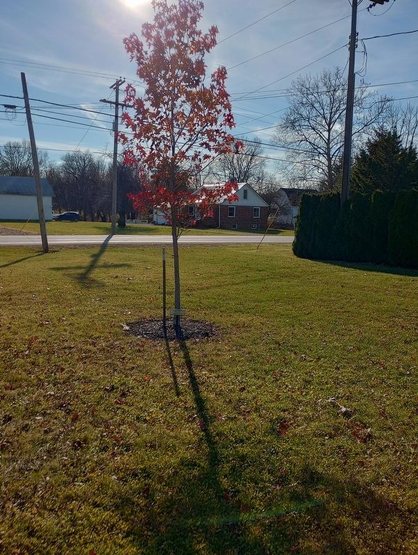 Brown Township Hall Veterans Memorials Marker. Click for full size. Brown Township Hall Veterans Memorials Marker image. Click for full size.