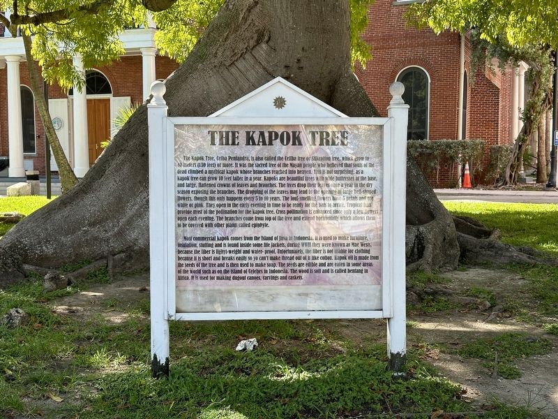The Kapok Tree Marker image. Click for full size.