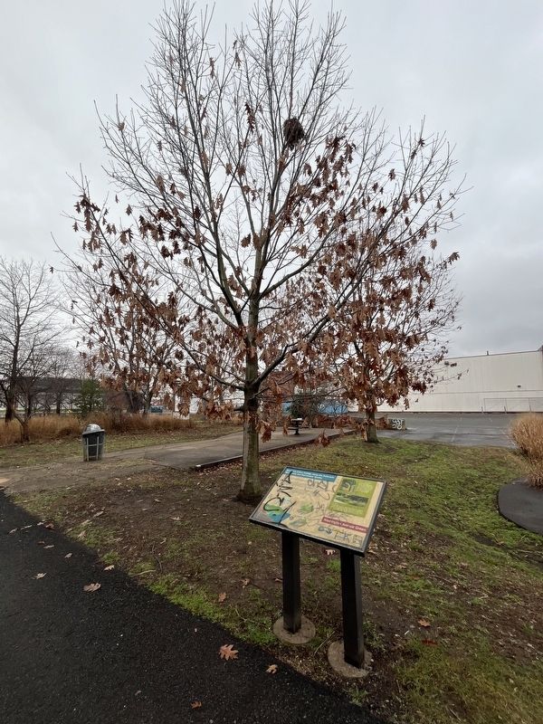 Improving Urban Ecology along the Delaware: Watersheds and Stormwater Quality Marker. Click for full size. Improving Urban Ecology along the Delaware: Watersheds and Stormwater Quality Marker image. Click for full size.