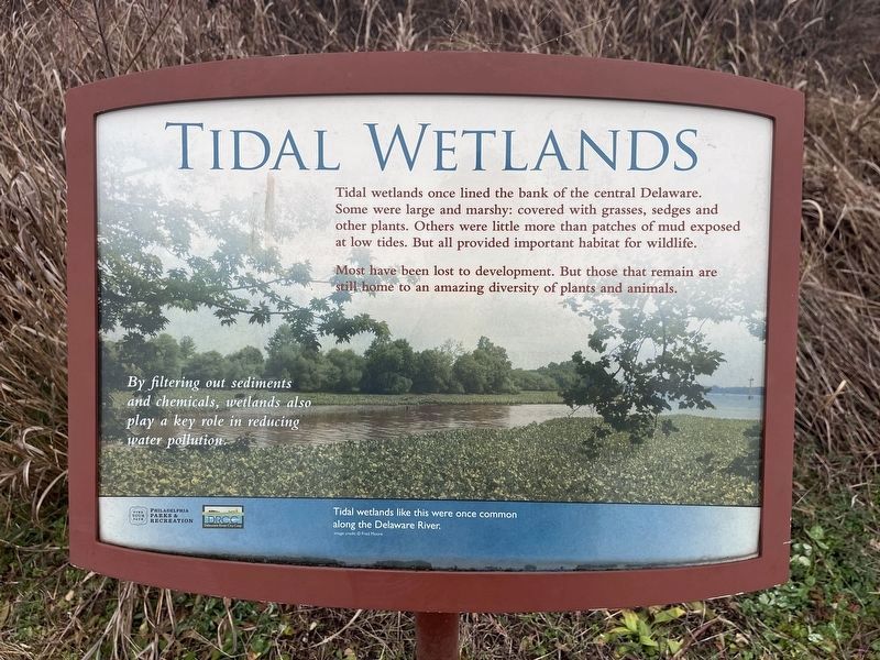 Tidal Wetlands Marker image. Click for full size.