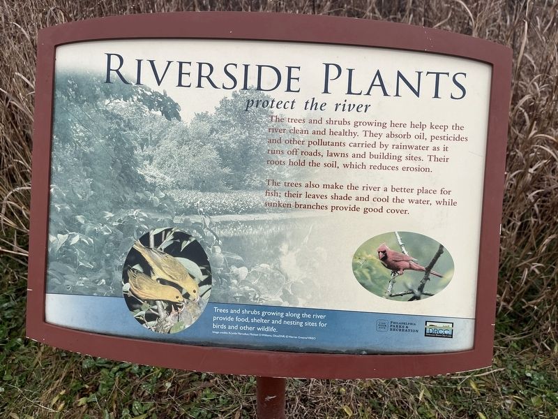 Riverside Plants protect the river sign (nearby) image. Click for full size.