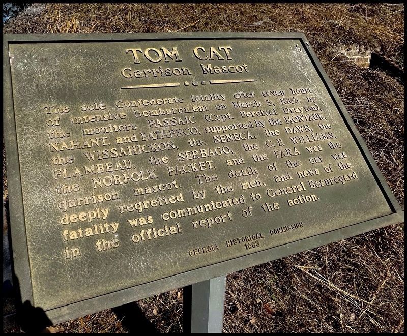 Tom Cat Marker. Click for full size. Tom Cat Marker image. Click for full size.
