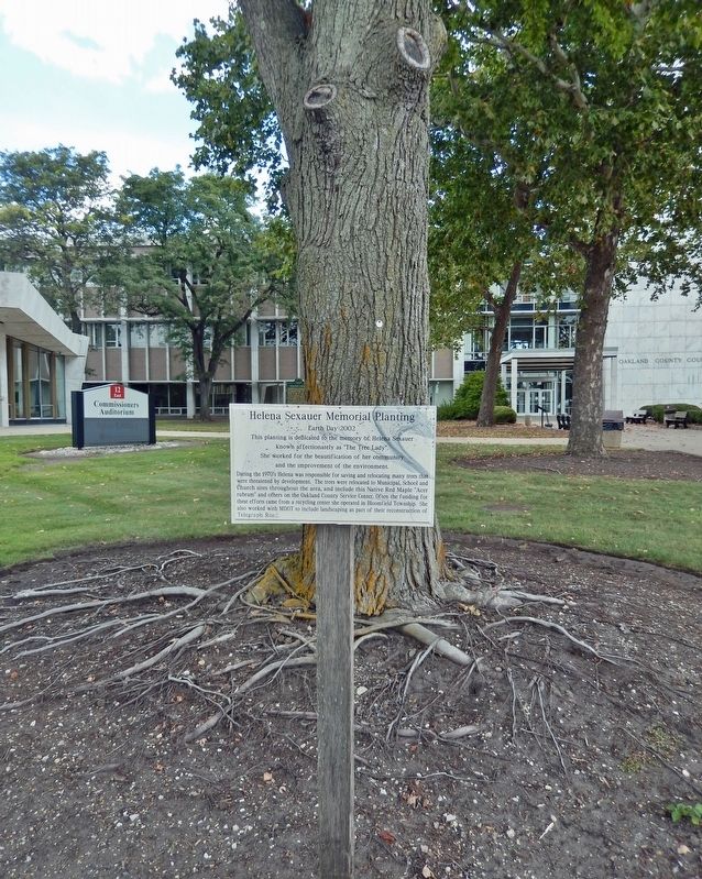 Helena Sexauer Memorial Planting Marker. Click for full size. Helena Sexauer Memorial Planting Marker image. Click for full size.