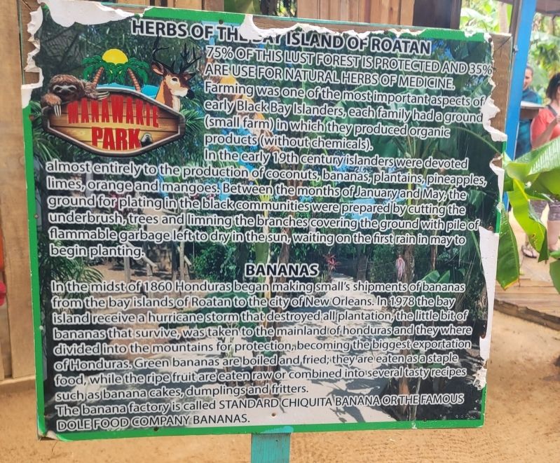 Herbs of the Bay Island of Roatan Marker image. Click for full size.
