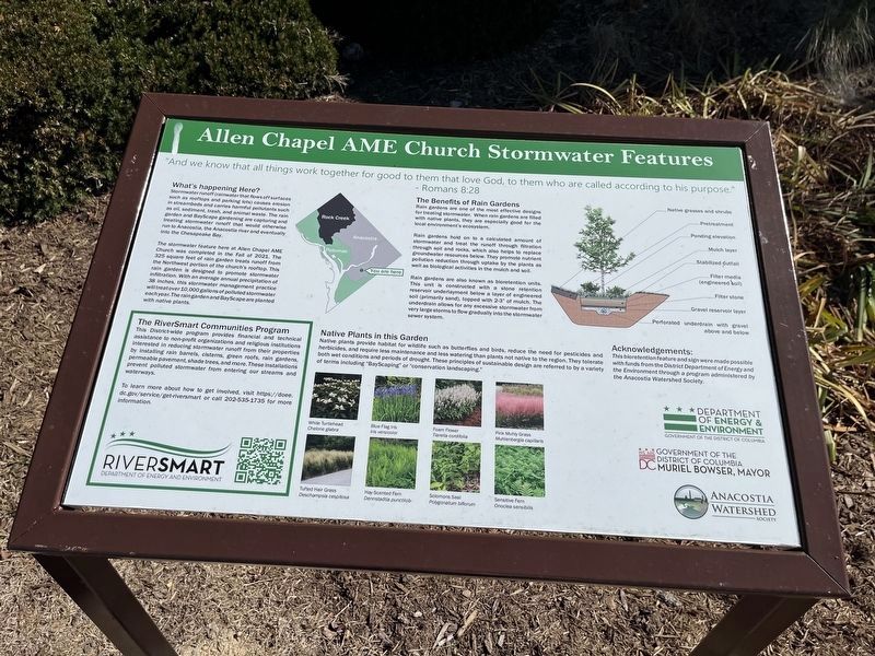 Allen Chapel AME Church Stormwater Features Marker. Click for full size. Allen Chapel AME Church Stormwater Features Marker image. Click for full size.