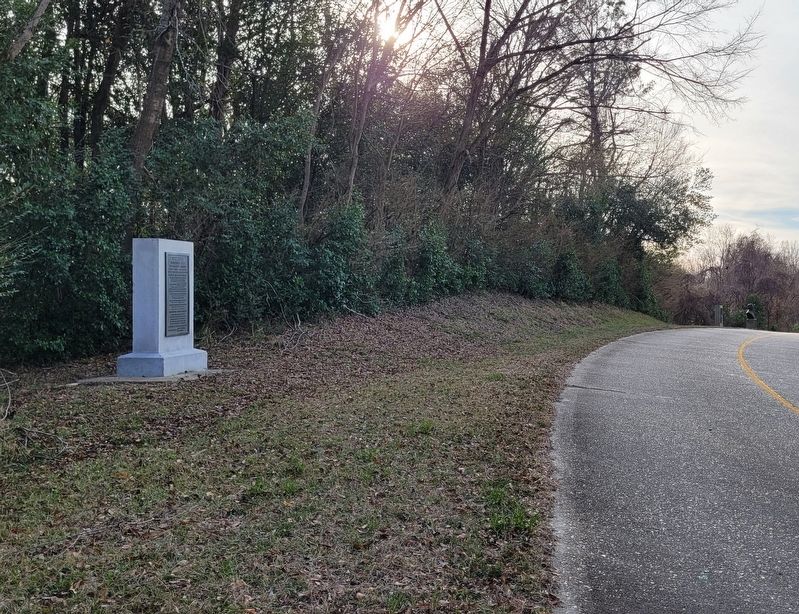 The view of the Johnston's Army Marker along the park road image. Click for full size.