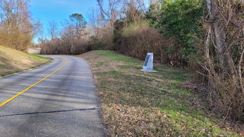 The view of the Robert Richardson Marker along the road image. Click for full size.