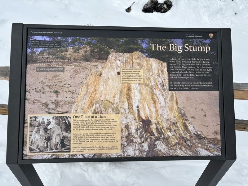 The Big Stump Marker image. Click for full size.