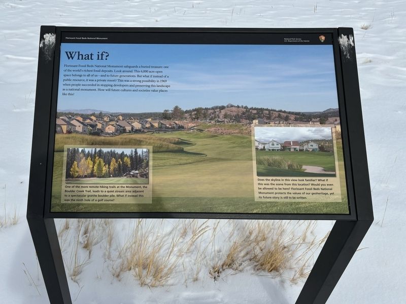 What If? Marker image. Click for full size.