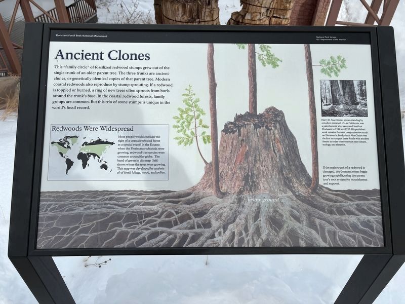 Ancient Clones Marker image. Click for full size.