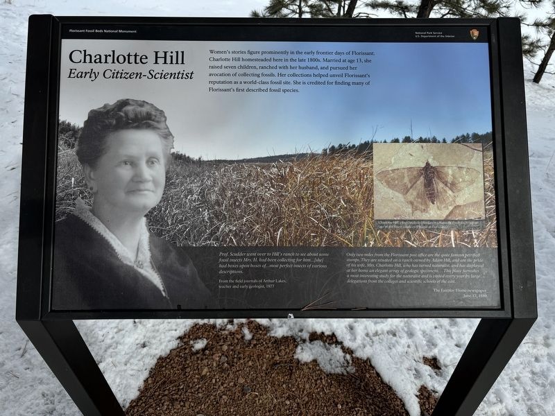 Charlotte Hill Marker image. Click for full size.