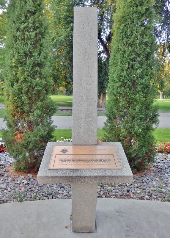 Commander Willis Winter Bradley, Jr. Memorial. Click for full size. Commander Willis Winter Bradley, Jr. Memorial image. Click for full size.
