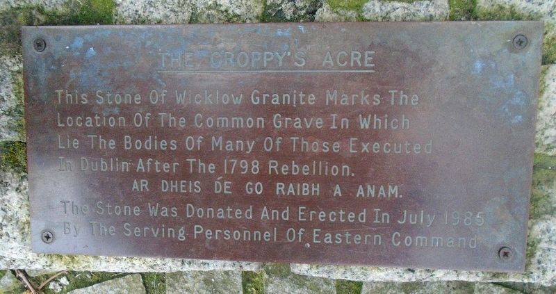 The Croppy's Acre Marker. Click for full size. The Croppy's Acre Marker image. Click for full size.