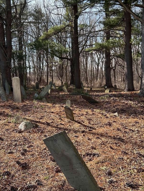 Gravestones in the cemetery next to the marker image. Click for full size.