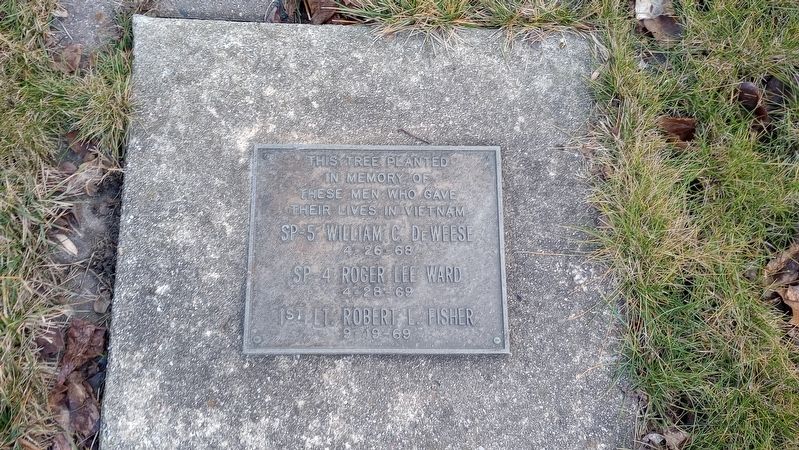 Vietnam Memorial Tree Marker. Click for full size. Vietnam Memorial Tree Marker image. Click for full size.