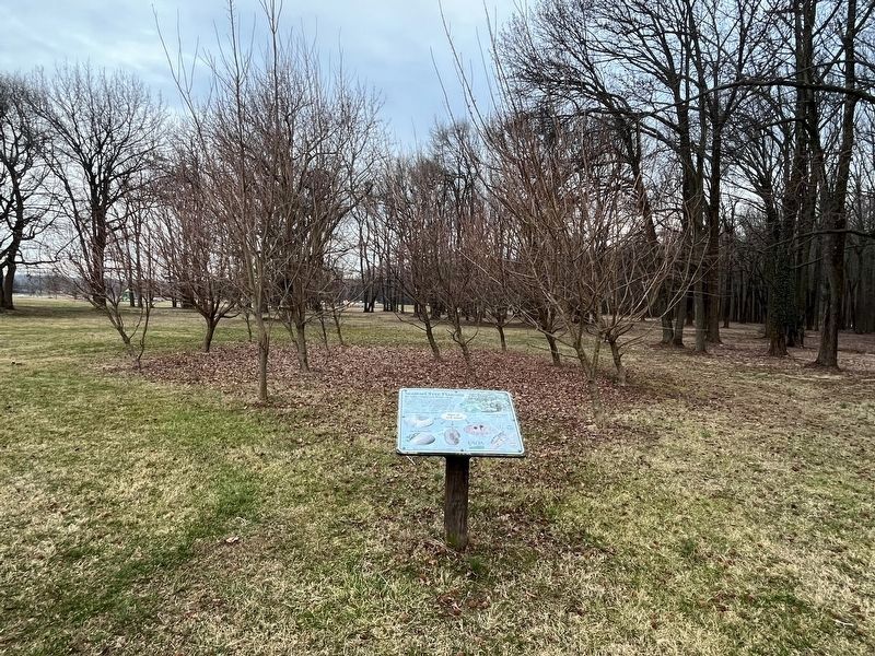 Sentinel Tree Planting Marker. Click for full size. Sentinel Tree Planting Marker image. Click for full size.