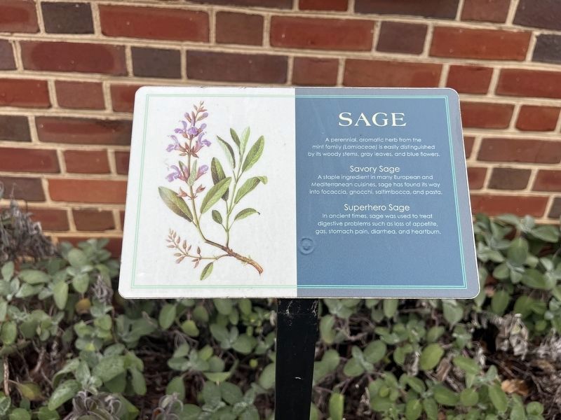 Sage Marker. Click for full size. Sage Marker image. Click for full size.