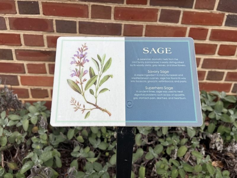 Sage Marker image. Click for full size.