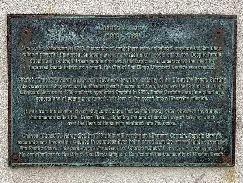First Professional Lifeguard Service Marker image. Click for full size.