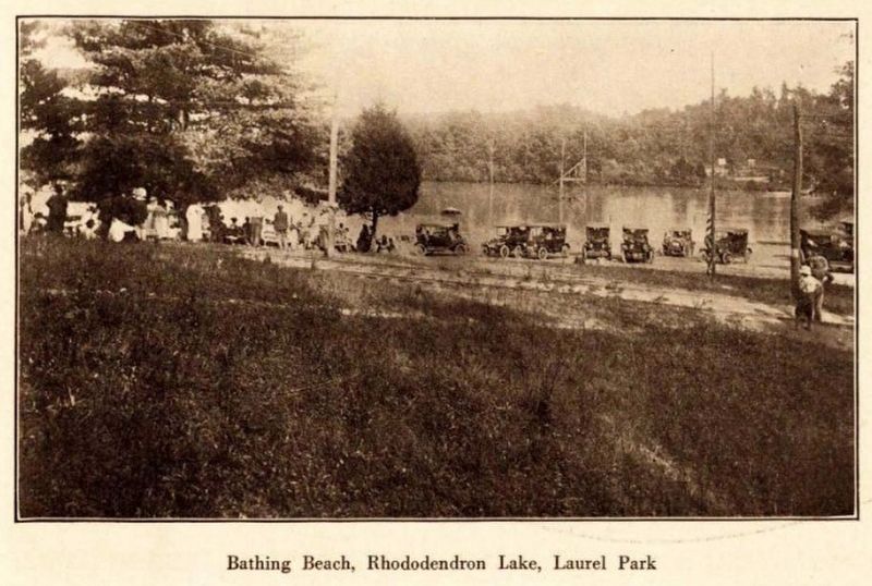 Rhododendron Lake image. Click for full size.