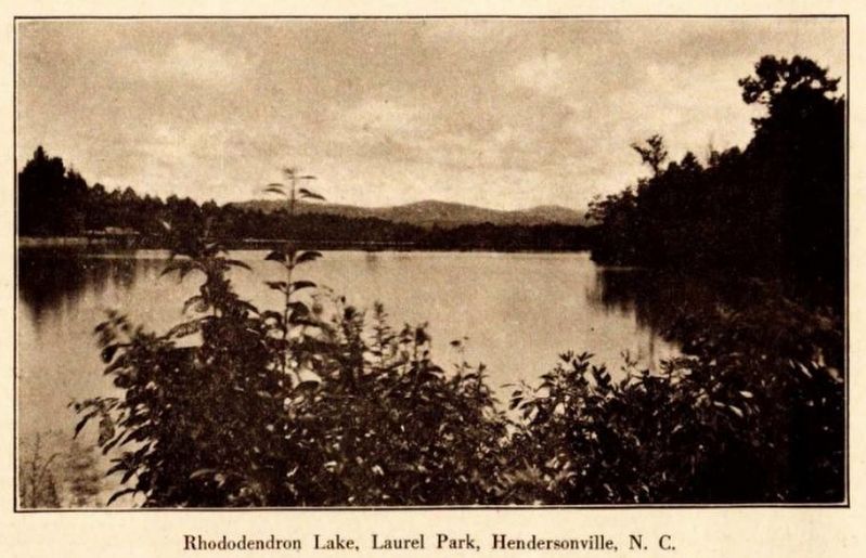 Rhododendron Lake image. Click for full size.