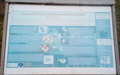 Flora and Fauna of Kenwood Acres Prairie Marker. Click for full size. Flora and Fauna of Kenwood Acres Prairie Marker image. Click for full size.
